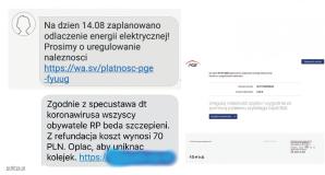 Phishing- Vinted, OLX, fałszywe sms-y, emocjonalne artykuły na Facebook, szkodliwe oprogramowanie. Jak zminimalizować ryzyko w sieci