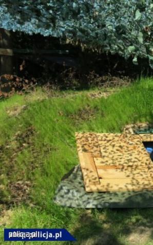 Narkotyki warte 1 milion złotych nie trafią na rynek